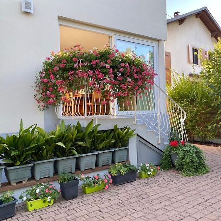 Appartement Le Jardin ลิงโกไซม์ ภายนอก รูปภาพ