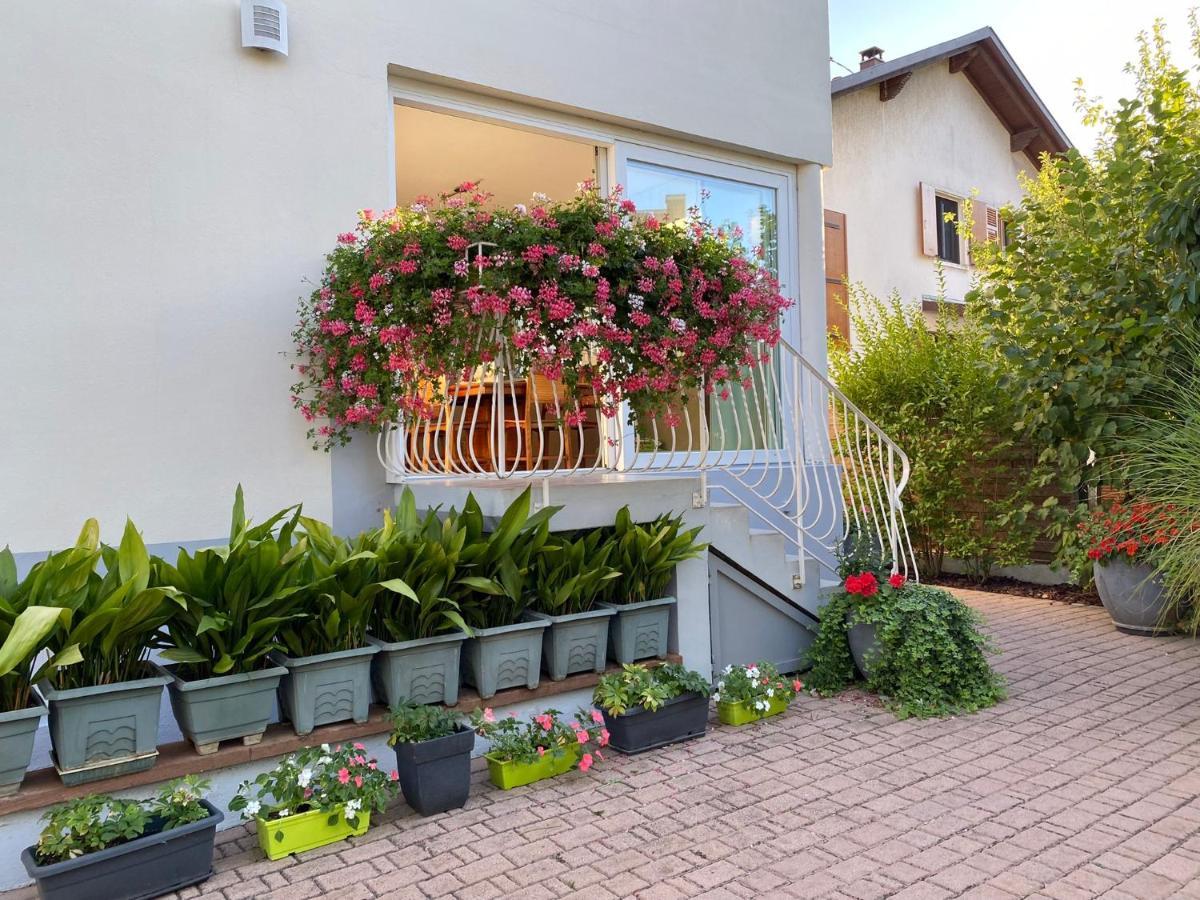 Appartement Le Jardin ลิงโกไซม์ ภายนอก รูปภาพ